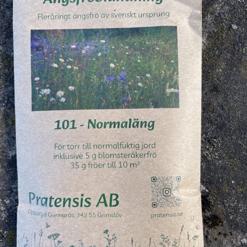 Normaläng Ängsfrö