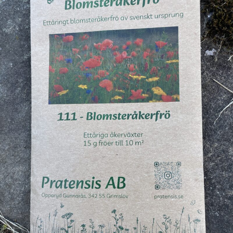 Blomsteråkerfrö